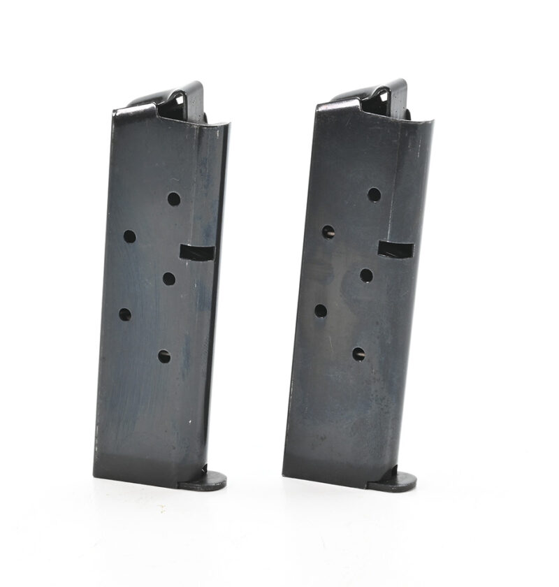 Colt Government 380 Auto Magazine