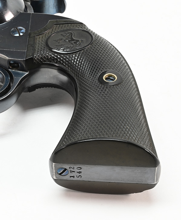 grip on Colt Bisley Target
